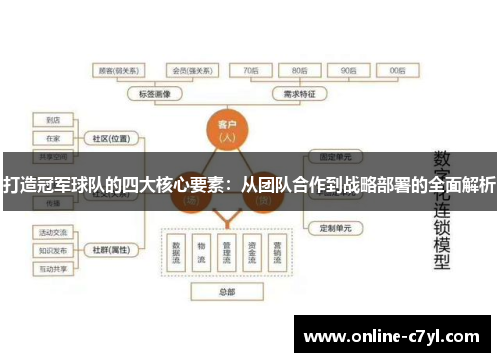 打造冠军球队的四大核心要素：从团队合作到战略部署的全面解析