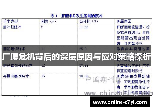 广厦危机背后的深层原因与应对策略探析