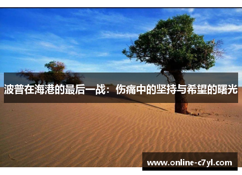波普在海港的最后一战：伤痛中的坚持与希望的曙光