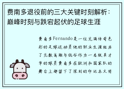 费南多退役前的三大关键时刻解析：巅峰时刻与跌宕起伏的足球生涯